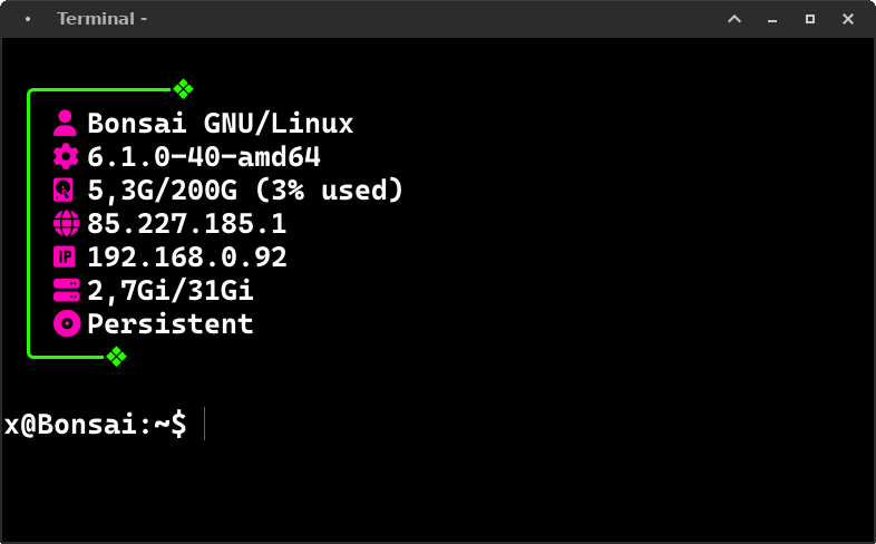 Bonsaifetch Terminal Output